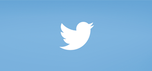 Летающая птичка твиттера для сайта uCoz